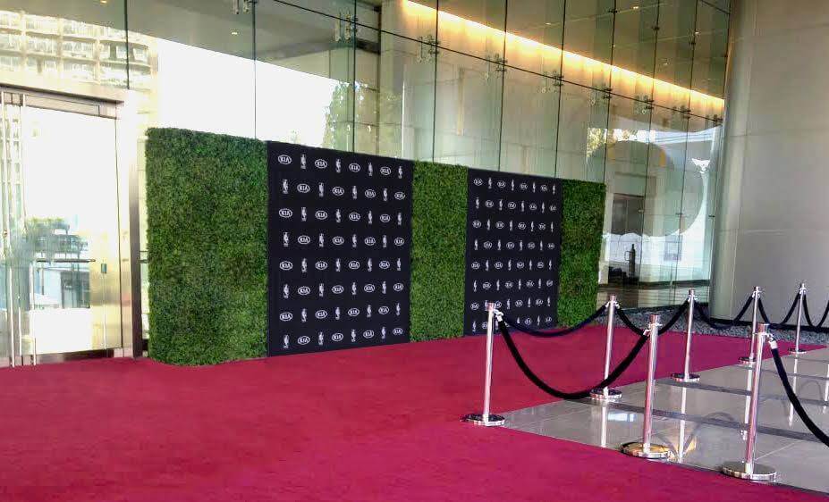 Hedge wall and media wall combo